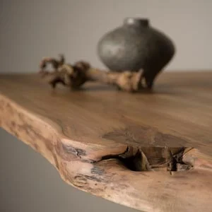 Boomstamtafel