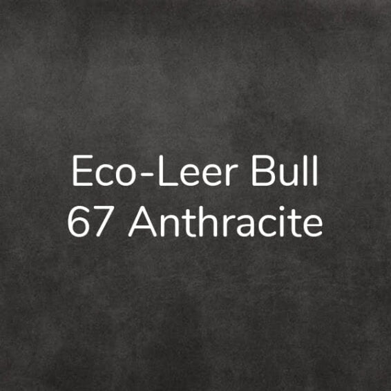 Eco-leer Bull 67 Anthracite